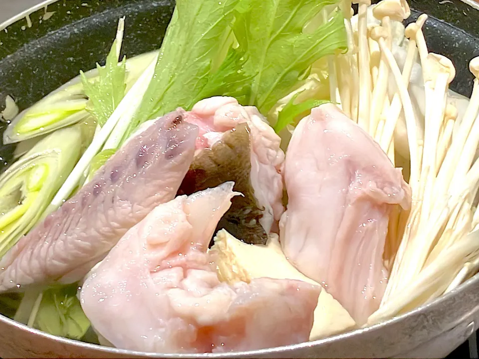 とらふく(夏場は1番美味しい長崎県養殖)の独り鍋|🐈⸒⸒⸒⸒つるのダンス🐈🐾さん