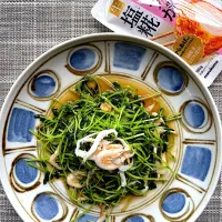 甘味と旨味の豆苗と白海老の炒め|栃倉 直人さん
