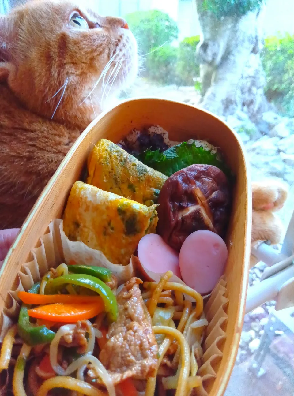 焼きそばお弁当|さくらんぼさん