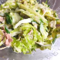 ツナとキャベツとキュウリのサラダ| アンジイさん