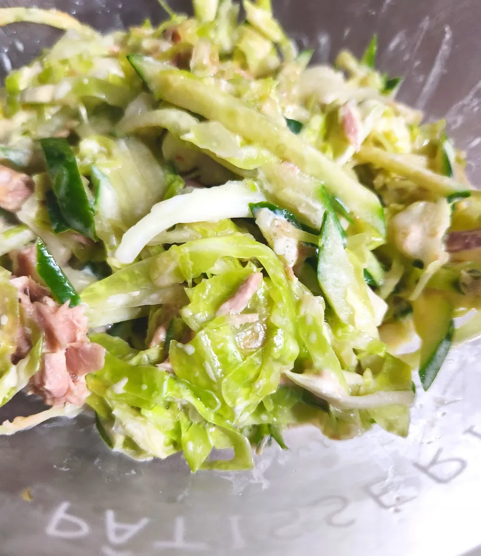 ツナとキャベツとキュウリのサラダ|アンジイさん
