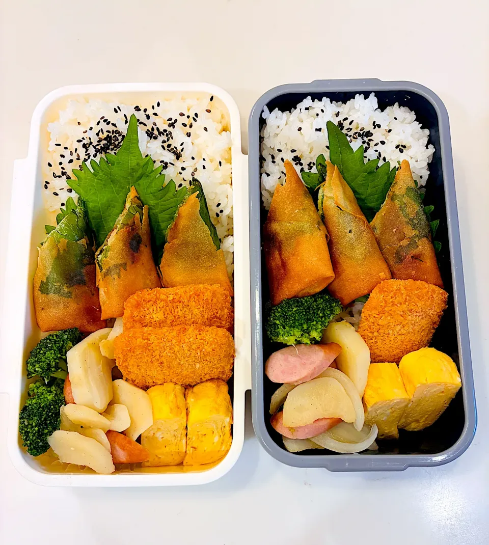 9/17 春巻き弁当|なおちゃんさん