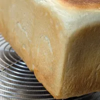 明日の食パン