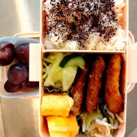 女子高生に捧ぐヒレカツ弁当|めぐさん