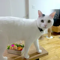 |Maya Miuraさん