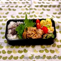 2025/09/18お弁当〜♡|いく❤️さん