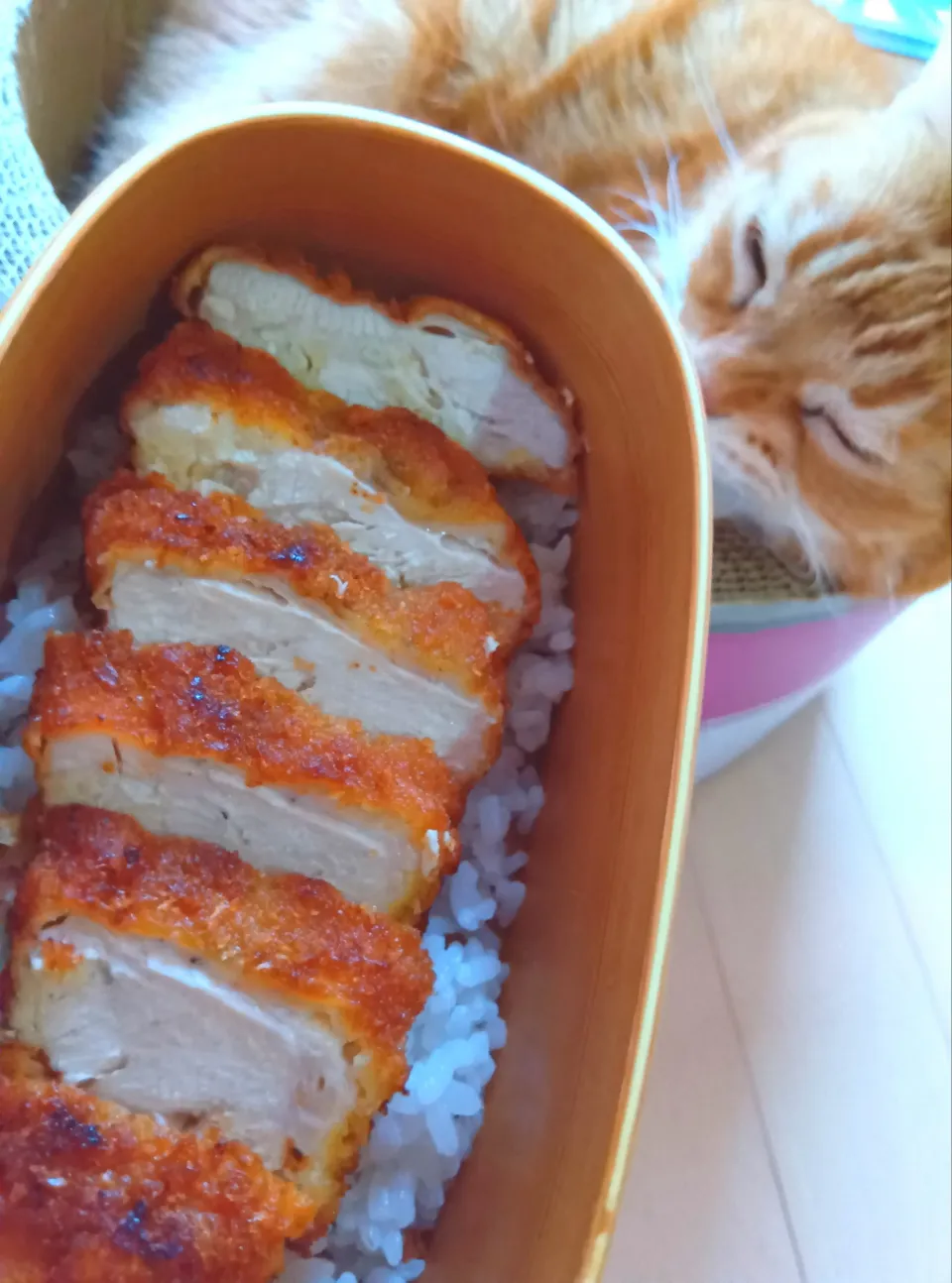 チキンカツお弁当雨で涼しい|さくらんぼさん