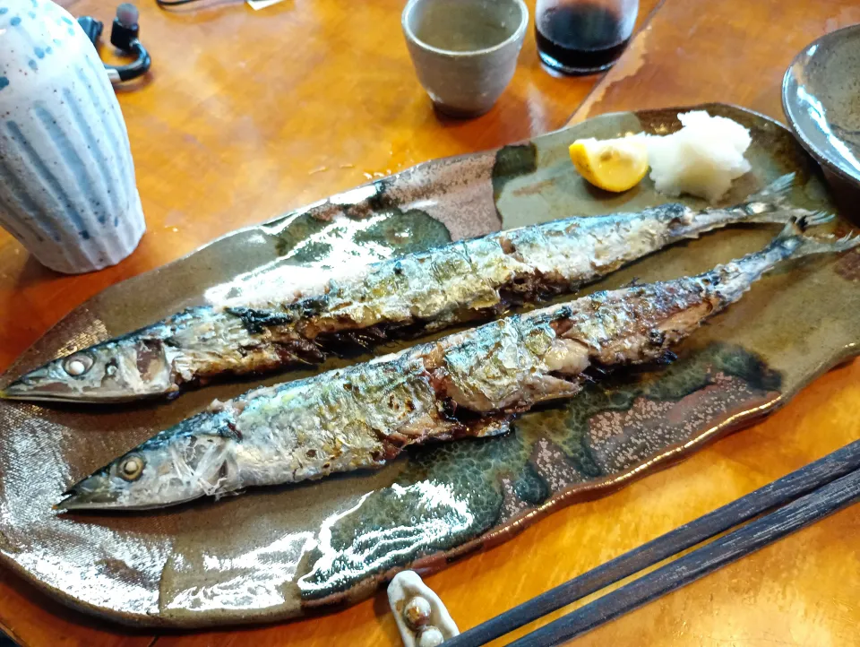 秋刀魚|ドッコイさん