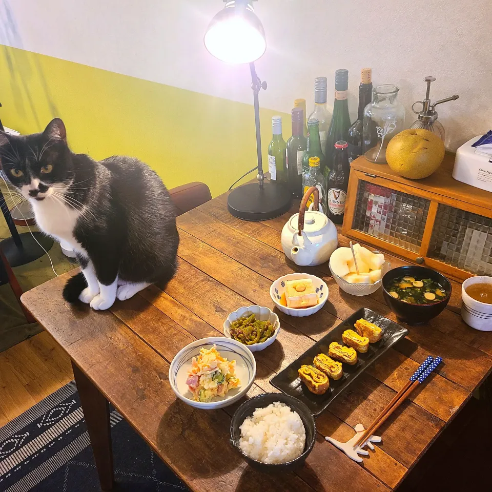 2025.9.18 朝食|KEITAさん