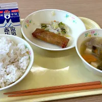 |Emi Sameshimaさん