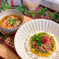 ふんわりトロけるそぼろご飯|AXさん