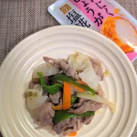 肉野菜炒め|どかどかさん