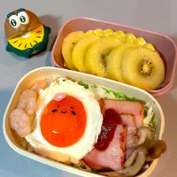 目玉焼き弁当|matumotommさん
