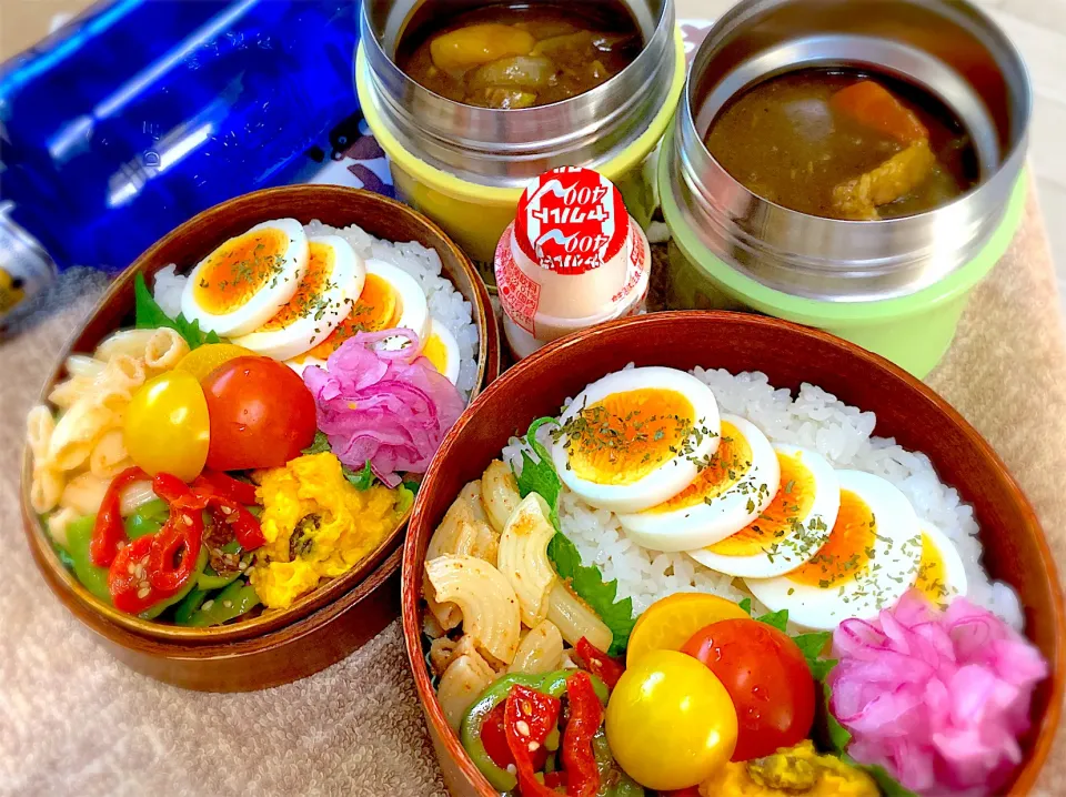 今日の夫婦弁⁽⁽ ◟(灬 ˊωˋ 灬)◞ ⁾⁾|桃実さん