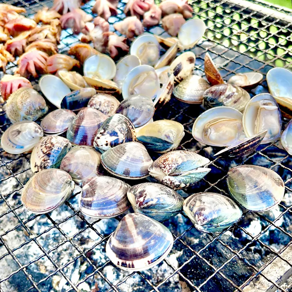 アサリの炭火焼き|ぎんさん