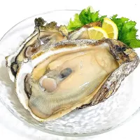 【秋先取り🎯】岩牡蠣と真牡蠣のミルキープレート🤤