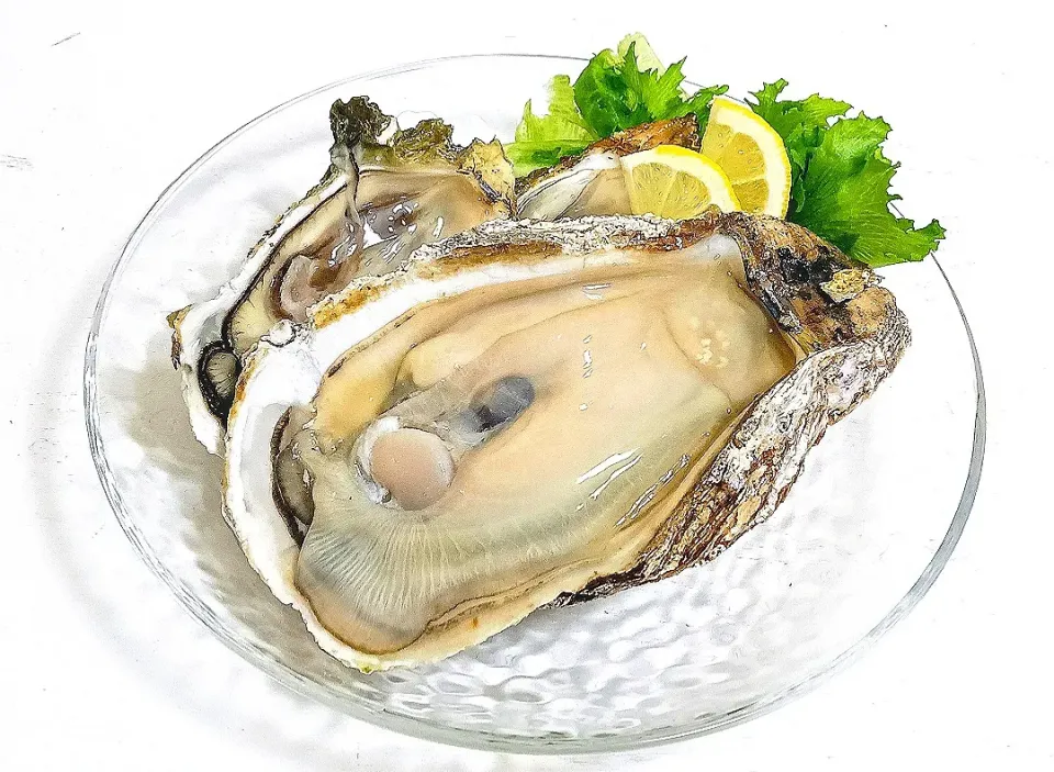 【秋先取り🎯】岩牡蠣と真牡蠣のミルキープレート🤤|Falco*さん