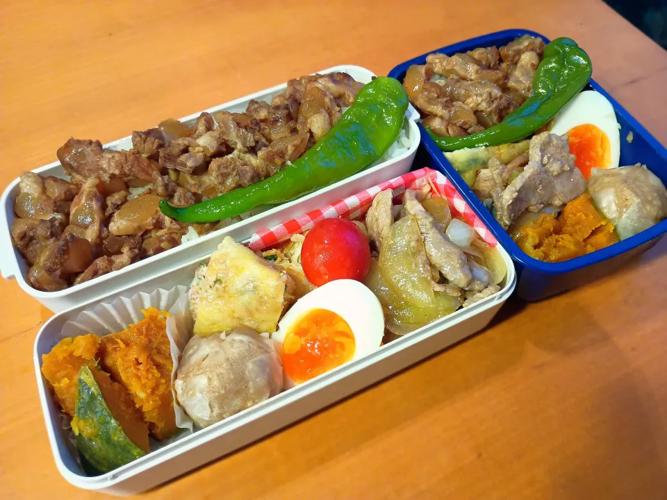 次男・私弁当|tamagomagomagoさん