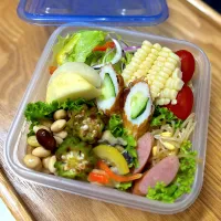 令和7年9月19日(金) お弁当|みかりんさん