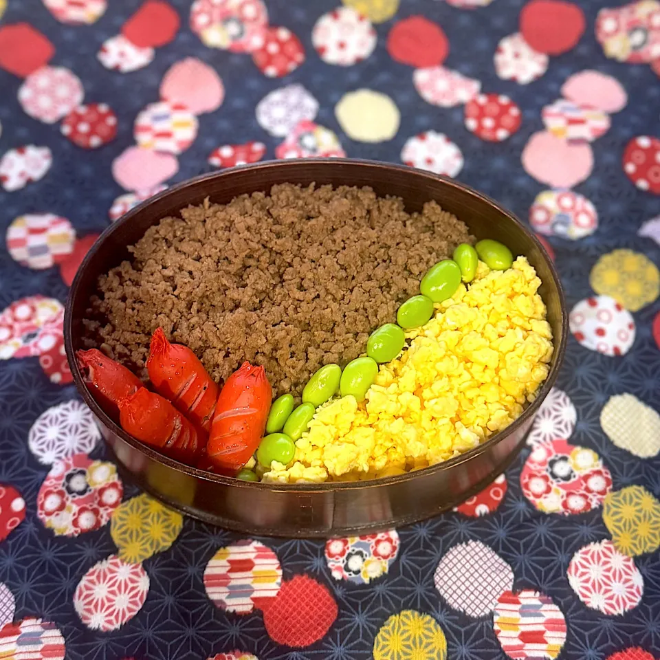 9月21日⚾️そぼろ弁当|ぽんちゃんさん