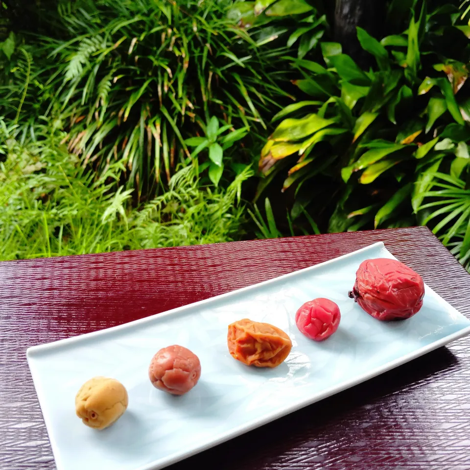 今年の梅仕事|ゆっこさん