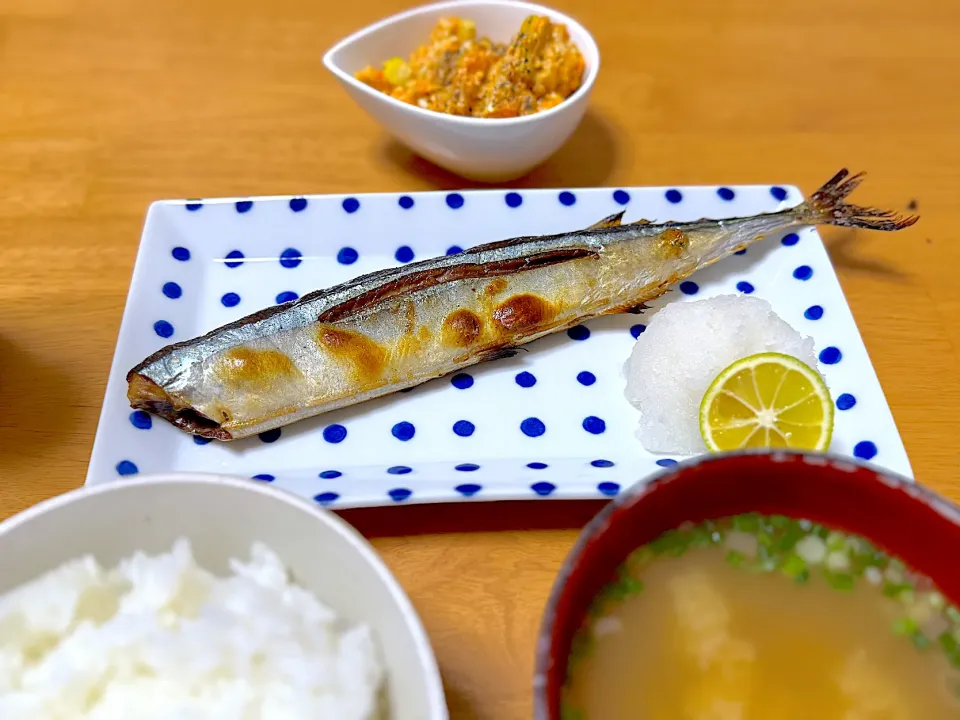 今日の秋刀魚はぶっとくて良い|ツナコさん