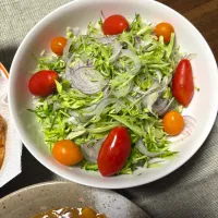 自家製野菜のサラダ|ひだまり農園さん