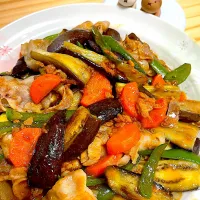豚肉と茄子、人参、ピーマンの中華炒め|510san。さん