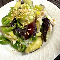 ナスとピーマン🫑🍆をネギと塩と胡麻油で作った調味料っ合えたもの|ナタママさん
