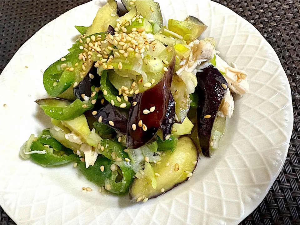 ナスとピーマン🫑🍆をネギと塩と胡麻油で作った調味料っ合えたもの|ナタママさん
