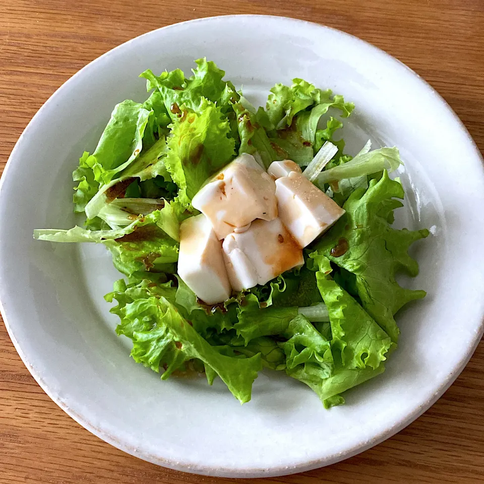 久しぶりですw|ここここのかさん