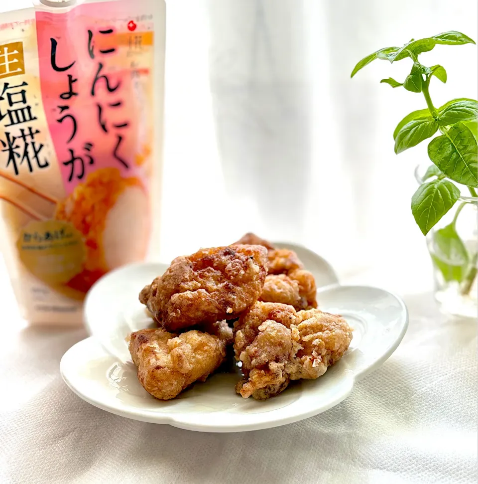唐揚げ|ilovespicaさん