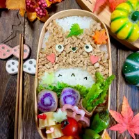 トトロそぼろ弁当