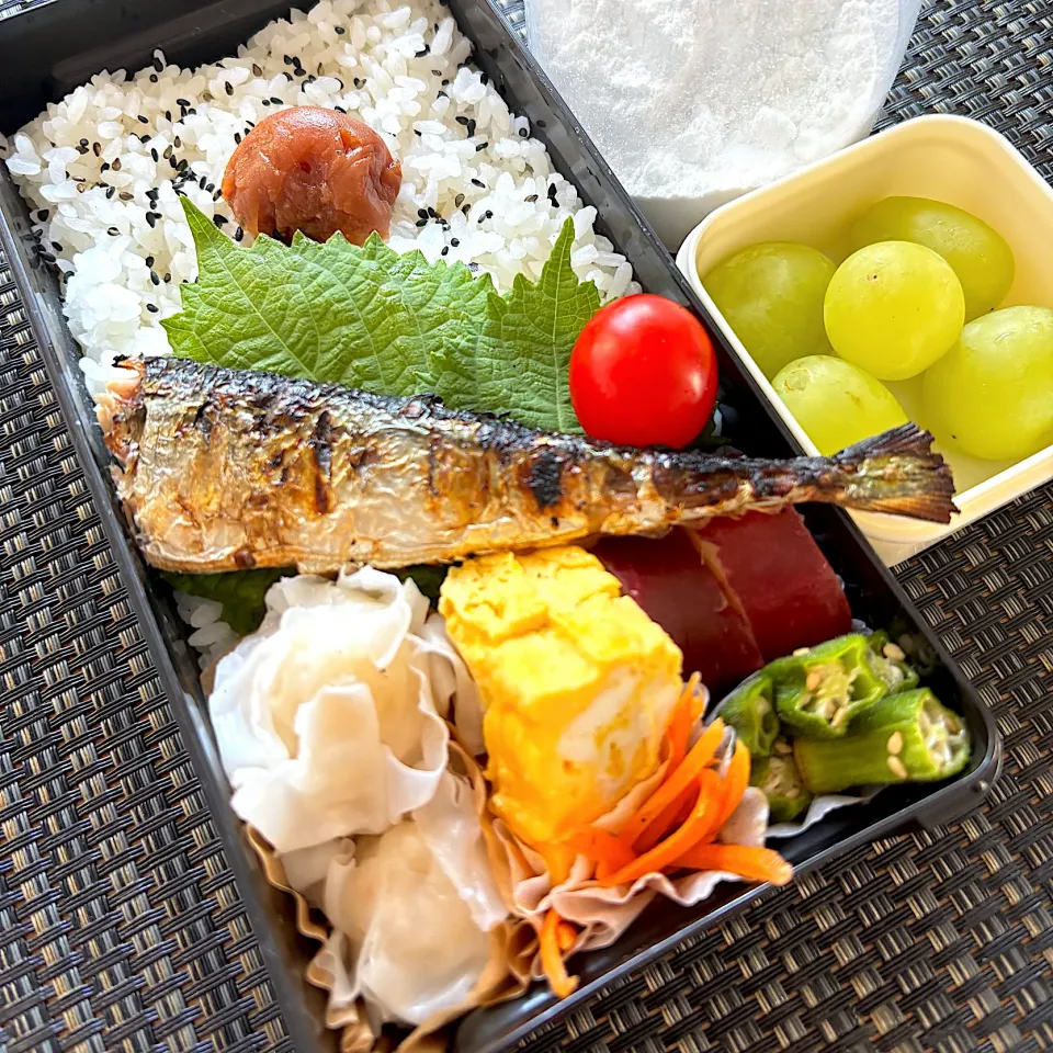 秋刀魚弁当|Abikoさん