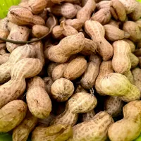 生落花生🥜|もなかさん