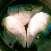 時間ないんよ…|kazuさん