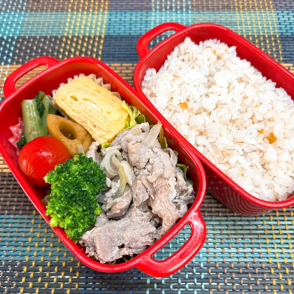 今日の旦那さんのお弁当|naoさん