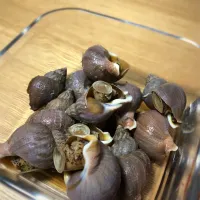 つぶの煮物|かおちさん