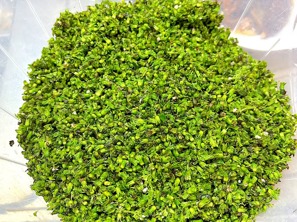 紫蘇穂|みーこさん