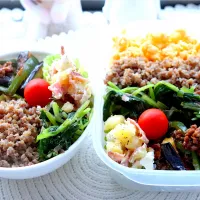 三色丼弁当| ★SHOKO★さん