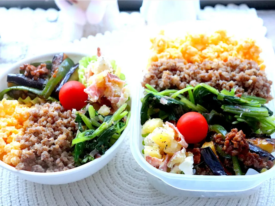 三色丼弁当|★SHOKO★さん