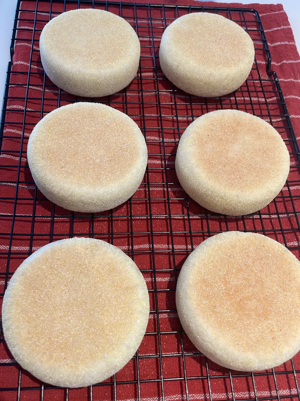 パン作り|suzuさん