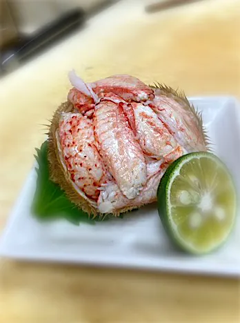 |ピカチュウさん