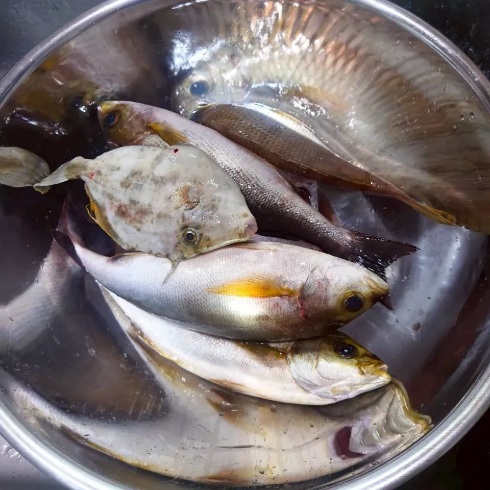 船釣り|タマ三郎さん