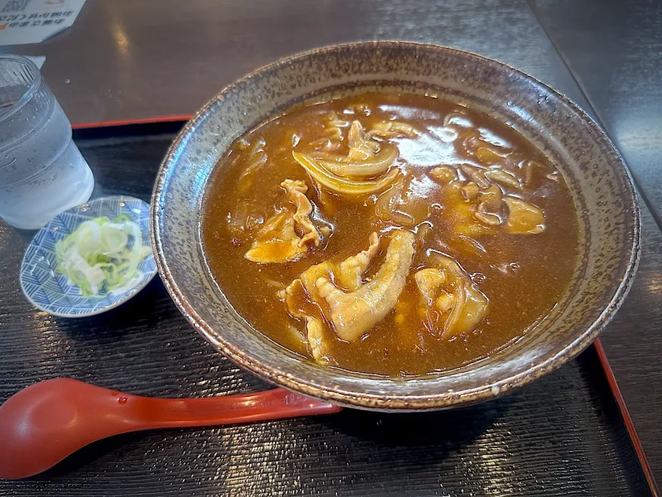 新城SAのカレーきしめん出張中なう|ひーちゃんさん