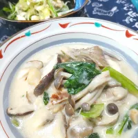 鶏肉ときのこの中華クリーム煮＆ささ身とねぎのサラダ