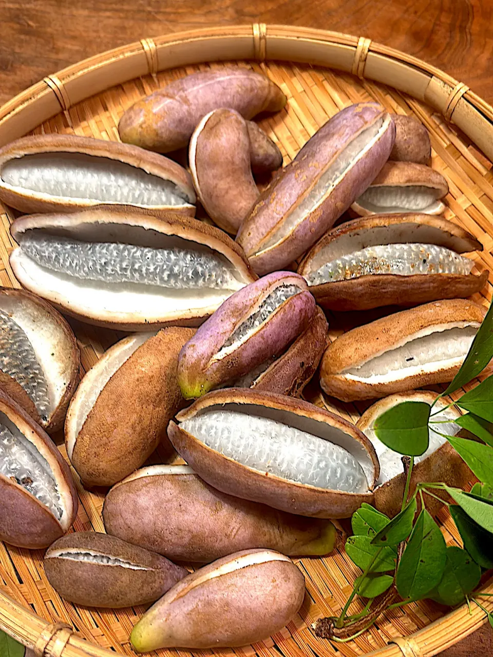 アケビ|cozyさん