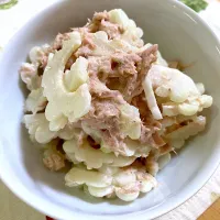 白ゴーヤのシーチキンサラダ🥗|keitanさん