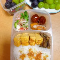 今日弁|shinorinrin15さん