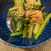 小松菜とえのきの中華風和え物|こぐまさん